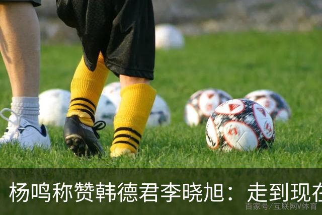 杨鸣称赞韩德君李晓旭：走到现在他们功不可没